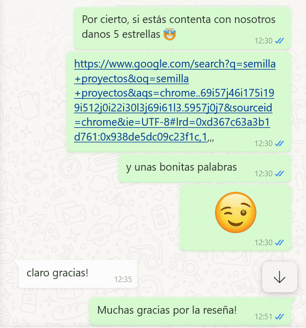 Ejemplo conversación whatsapp pidiendo reseña